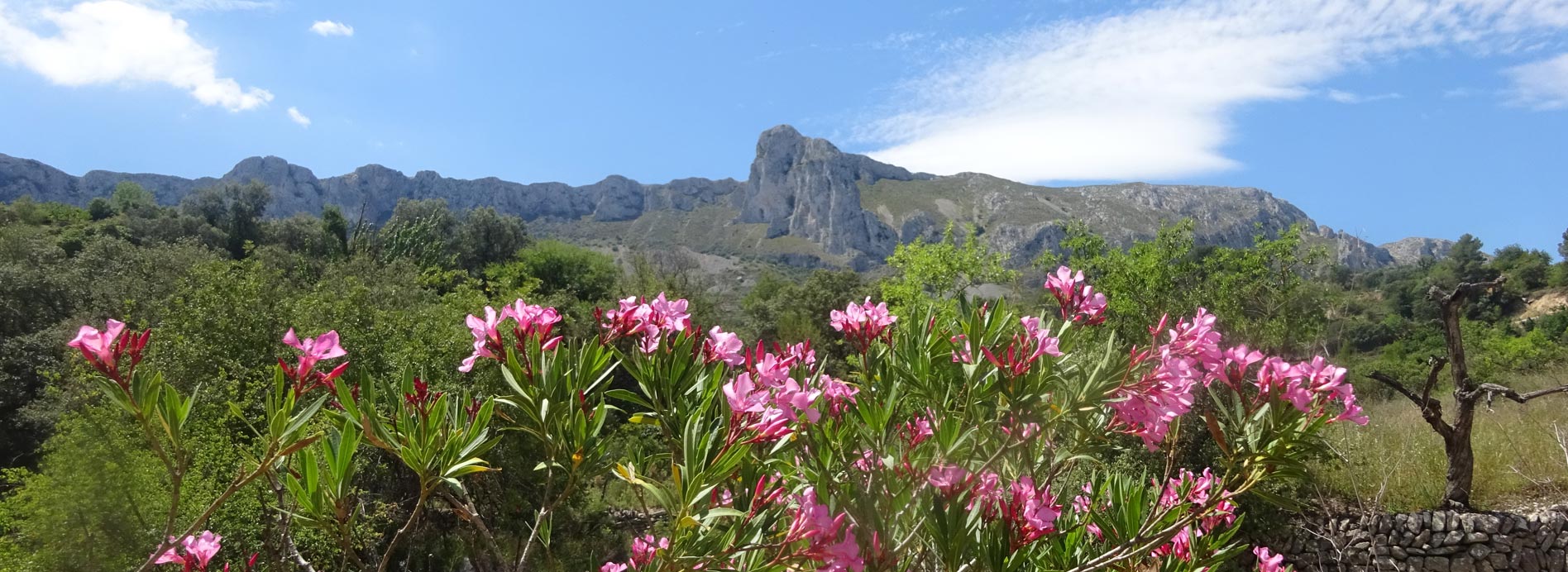 home Walking in Costa Blanca