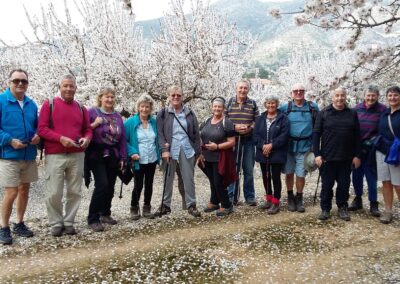 Jalon Blossom 2017