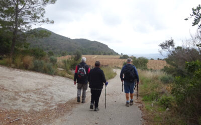 Adsubia Circular – 26th February 2021