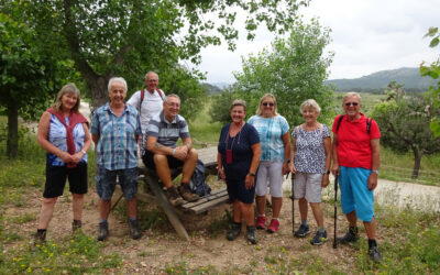 Parcent Circular – 4th June 2021