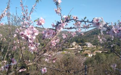 Lliber to Hidden Valley – 4th February 2022