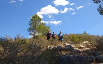 Pedreguer clockwise – 3rd May 2024