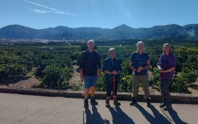 Adsubia Circular walk – 13th February 2025