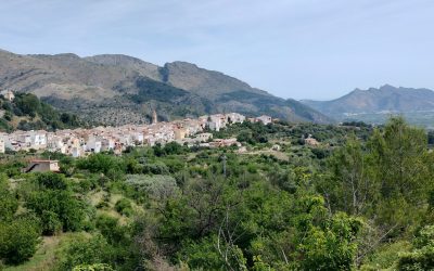 Benimaurell Loop via Fleix clockwise – 2nd June 2025