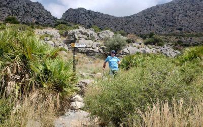 Beniarbeig – Parc Public Segaria along pipeline – 19th June 26